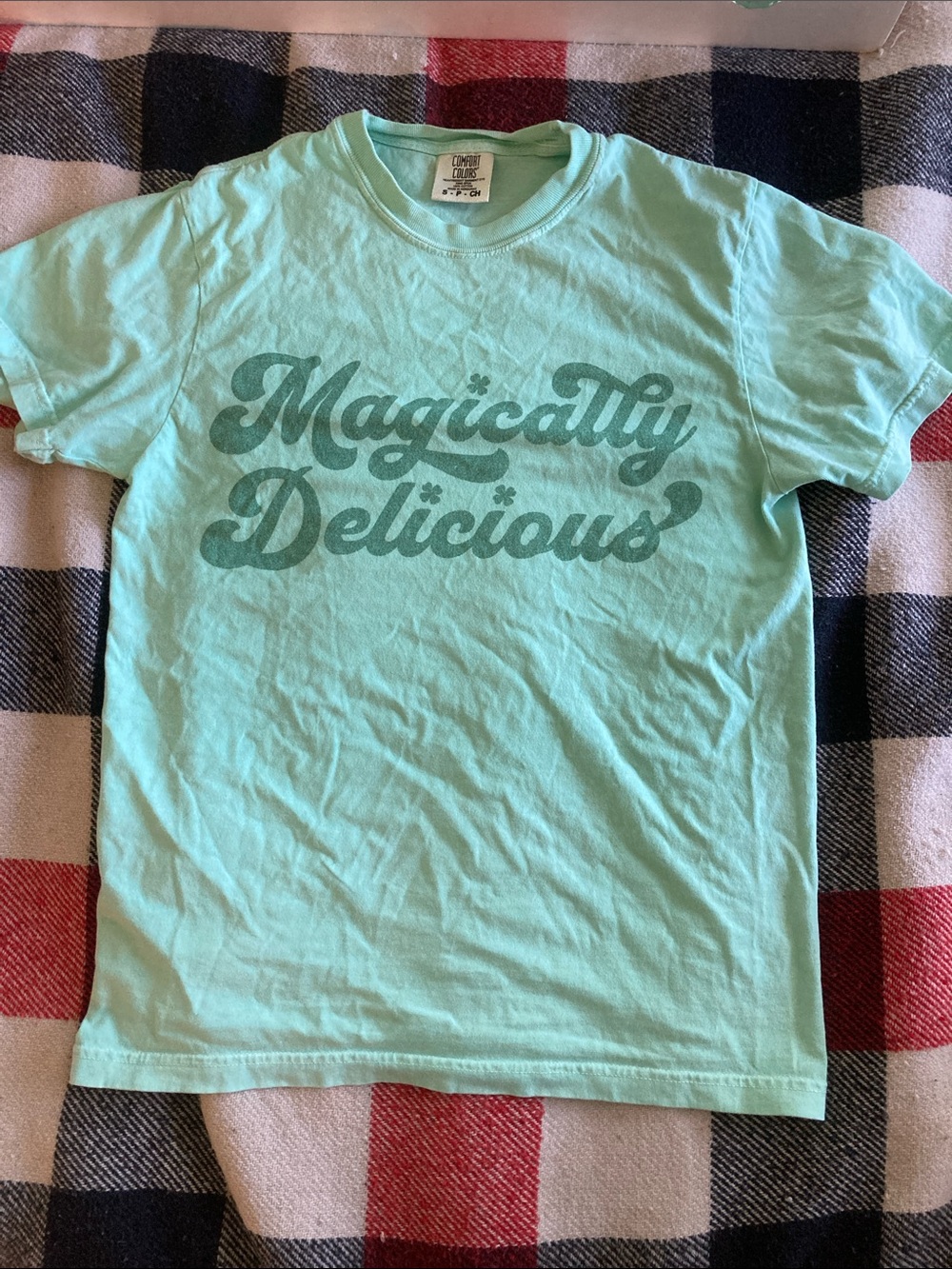 Magically Delicious men’s S Short Sleeve Tee - Mint green cotton t-shirt sexy